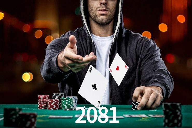 2081,2081.com