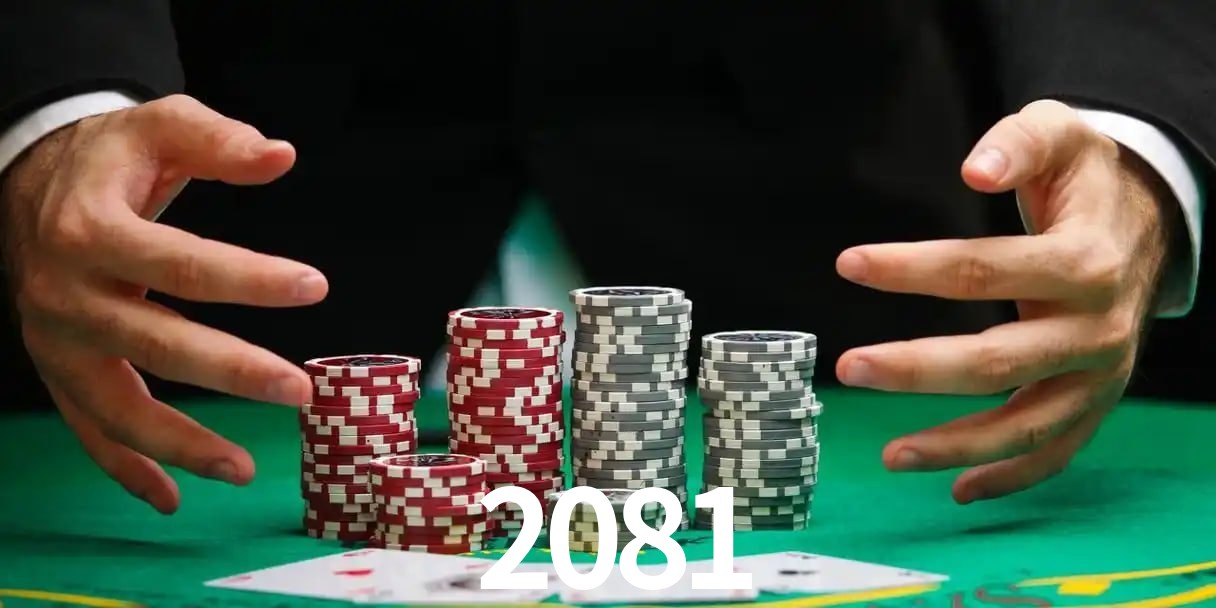 2081 Aplicativo - 2081 visual 2